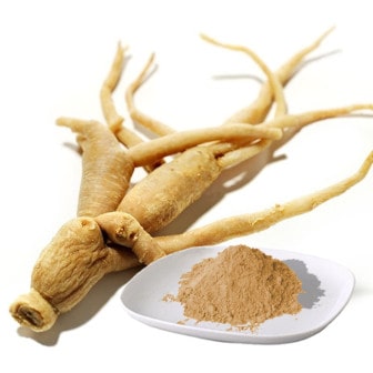 The extract of Panax ginseng