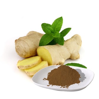 The extract of Ginger