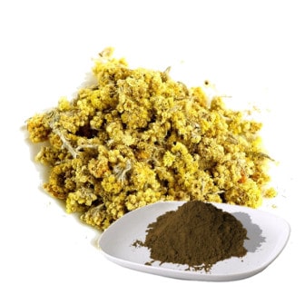 The extract of Immortelle (flower)