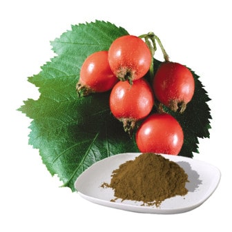 The extract of Hawthorn  (fruit)