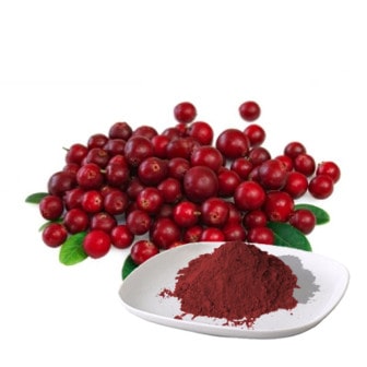 The extract of Cowberry